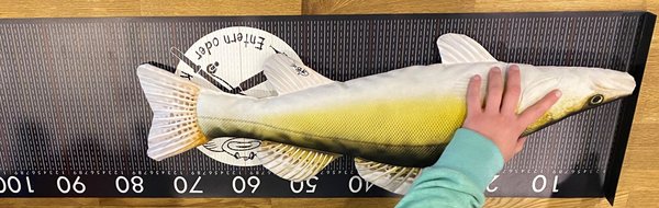 Fish scale  XL Fischmaßband  ( Entern oder Kentern Fischdesign)